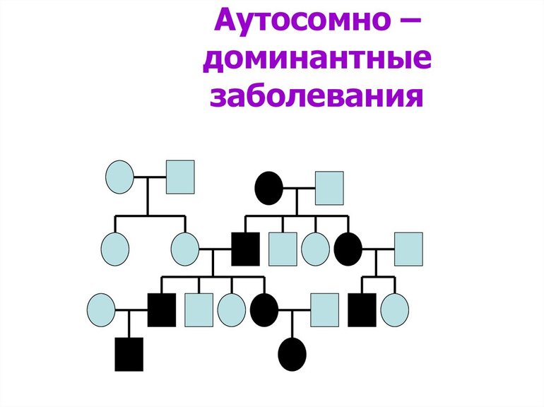 Мутационная изменчивость — виды, классификация и примеры