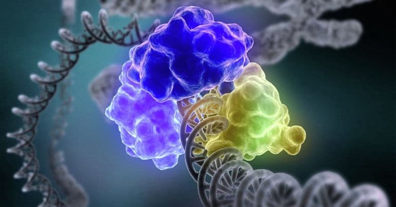 Наследственная изменчивость: виды, примеры и роль в эволюции