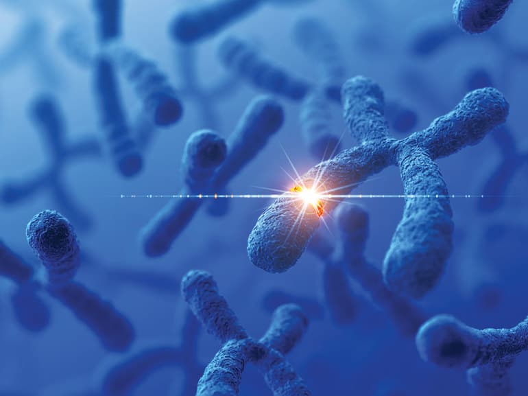 Наследственная изменчивость: виды, примеры и роль в эволюции