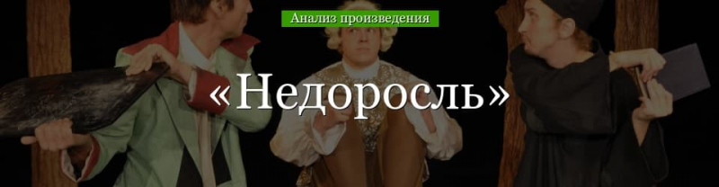 &laquo;Недоросль&raquo; анализ произведения Фонвизина &ndash; тема, проблематика, жанр, план комедии