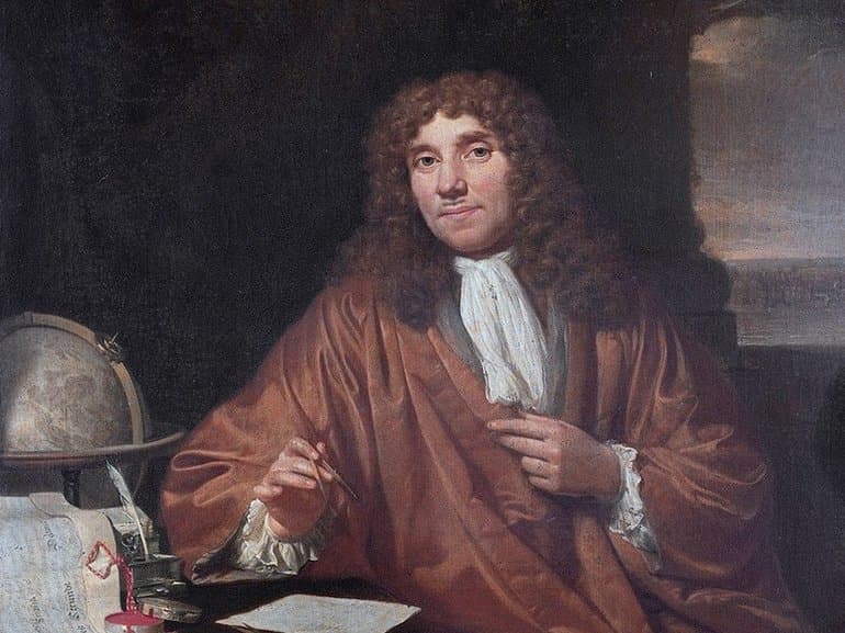 Одноклеточные организмы &mdash; строение , формы и признаки представителей