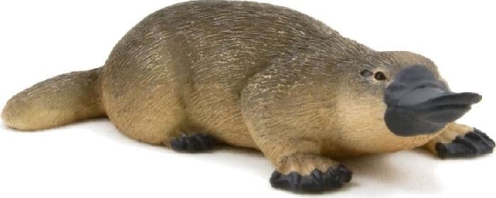 Однопроходные млекопитающие (яйцекладущие)