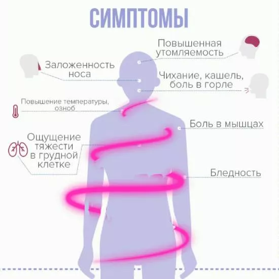 Описание семейства коронавирусов: строение, штаммы, COVID-19