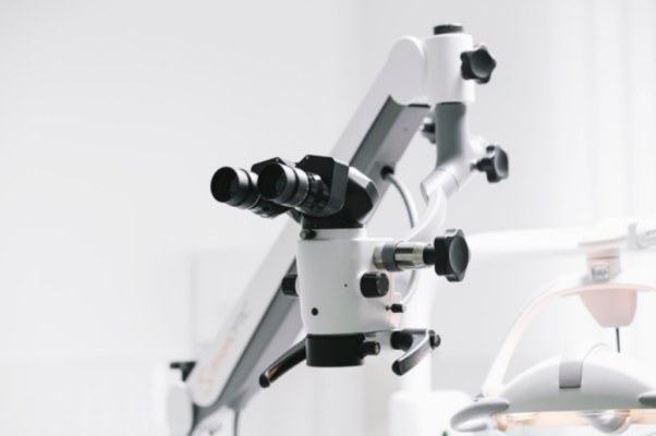 Основные положения клеточной теории, современное значение кратко