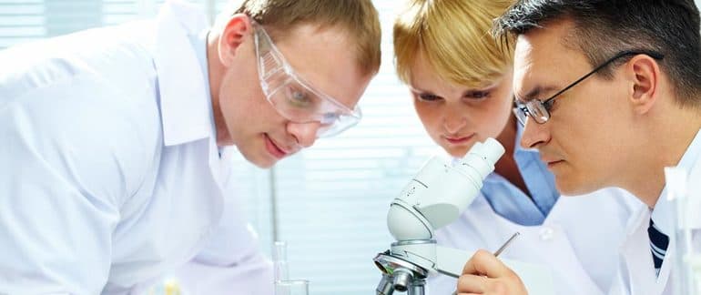 Плазматическая мембрана &mdash; химический состав, строение и свойства