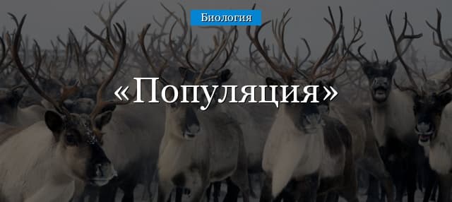 Популяция в биологии – возрастная структура, роль в эволюционном процессе