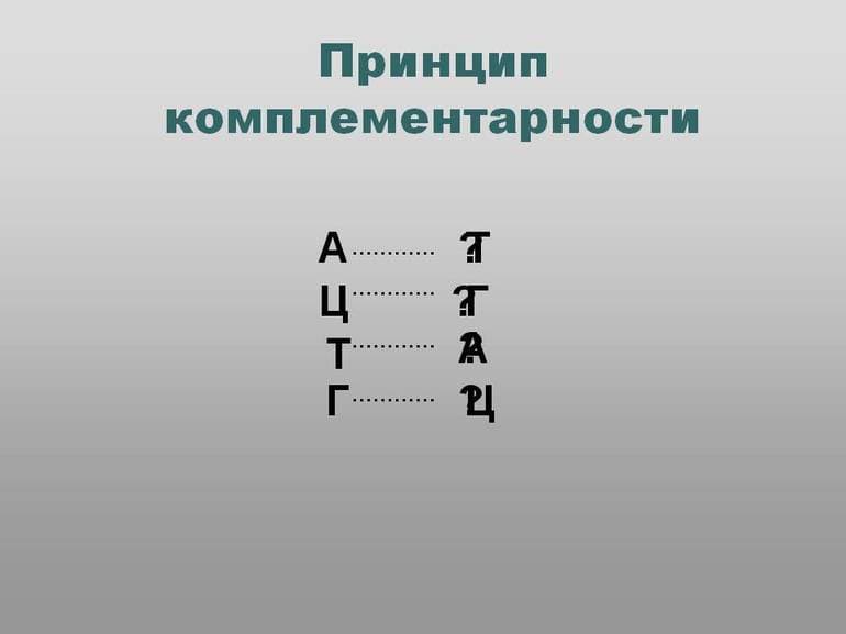 Принцип комплементарности — основа, суть и роль правила в биологии