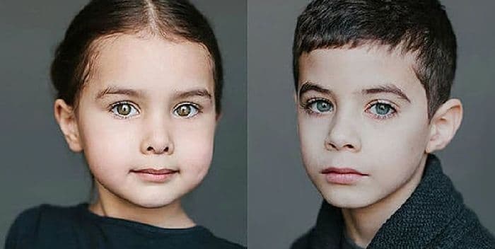 Расы человека в таблице (8 класс, биология)