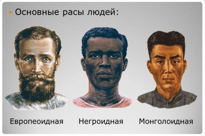 Расы человека в таблице (8 класс, биология)