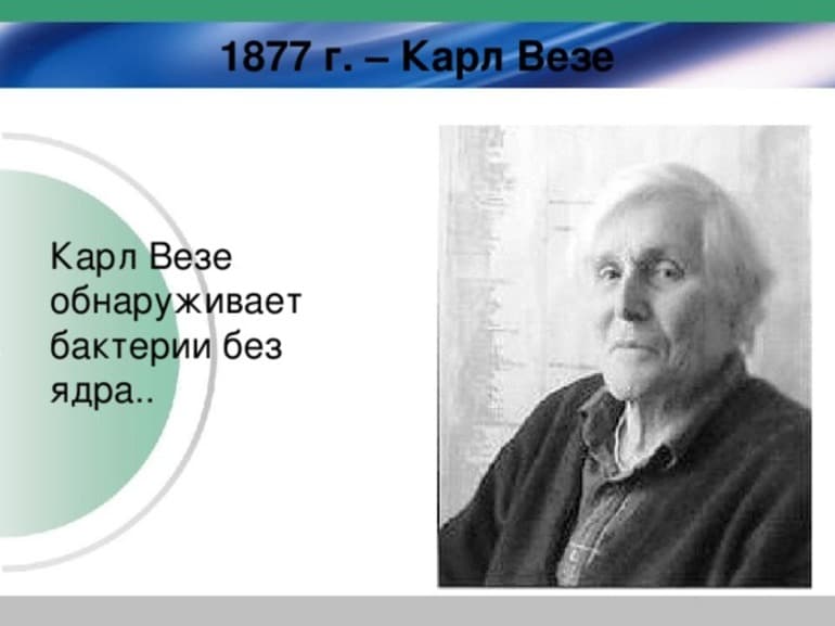 РНК &mdash; строение, виды и функции молекулы