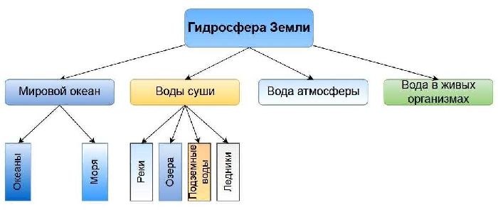 Роль воды в жизни человека &ndash; значение, важность кратко для сообщения&nbsp;(5 класс, биология)