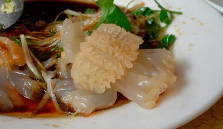 Сцифоидные медузы &mdash; общая характеристика, особенности строения и жизненный цикл