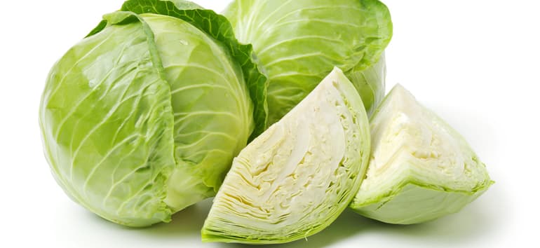 Семейство крестоцветные в биологии &mdash; характеристика, виды и примеры представителей