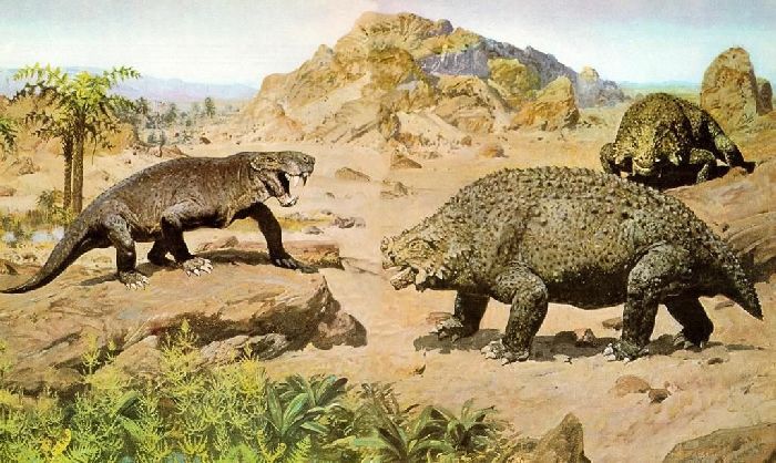 Сходства и различия млекопитающих и пресмыкающихся &ndash; примеры соответствия, сравнительные характеристики и особенности строения кратко (7 класс, биология)