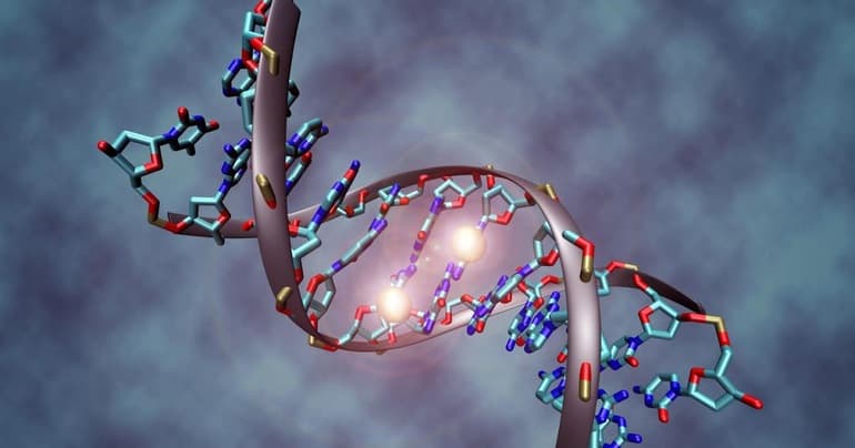 Синтетическая теория эволюции &mdash; основные положения, идеи и принципы