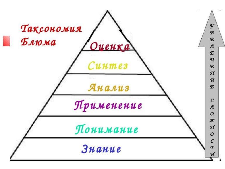 Систематика в биологии — основы классификации растений и животных