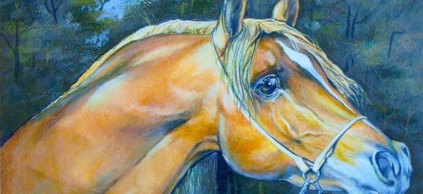 Сочинение О чем плачут лошади