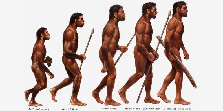 Сообщение на тему: «Как появился человек на Земле?»