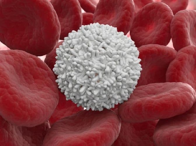 Специфический и неспецифический иммунитет &ndash; факторы