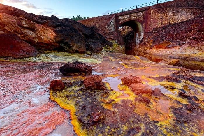 Среда обитания &mdash; виды, характеристики и представители