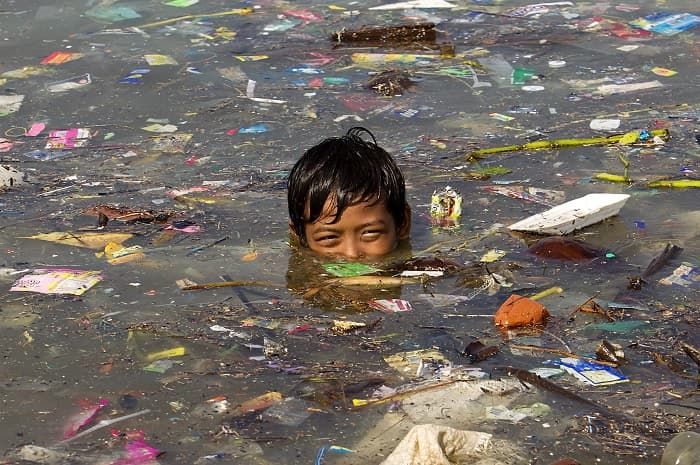 Среда обитания &mdash; виды, характеристики и представители