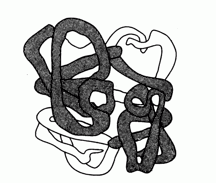 Строение белков — особенности, функции, биологическая роль