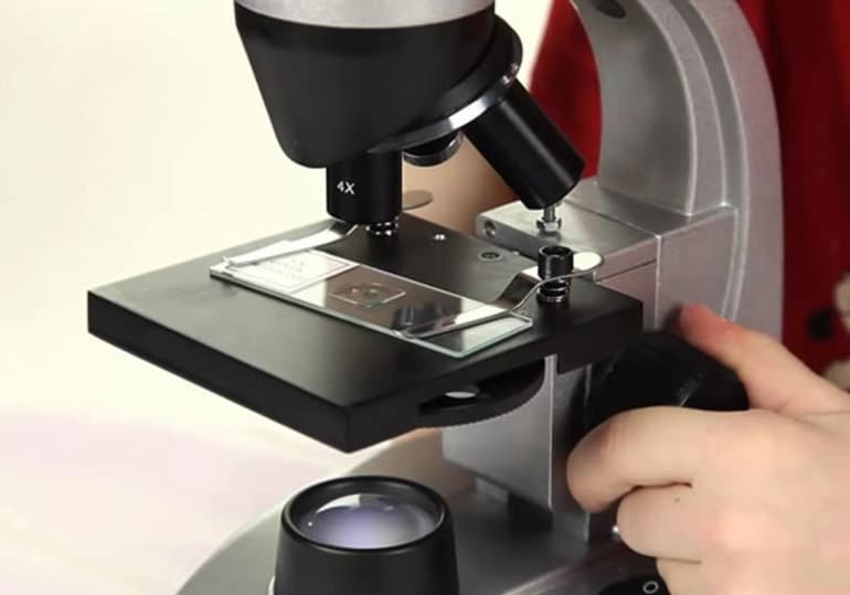 Строение микроскопа &mdash; схема устройства с обозначениями и подписями частей