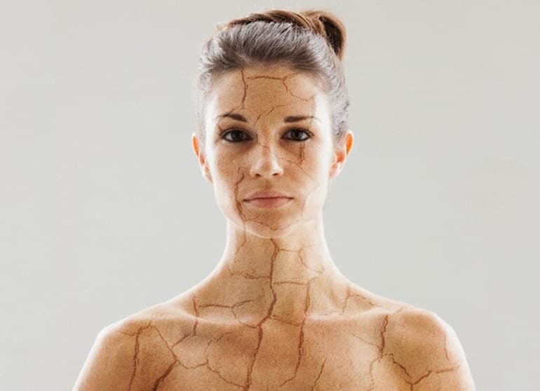 Строение жиров и их роль в организме человека