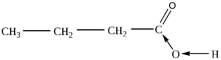 Строение жиров и их роль в организме человека