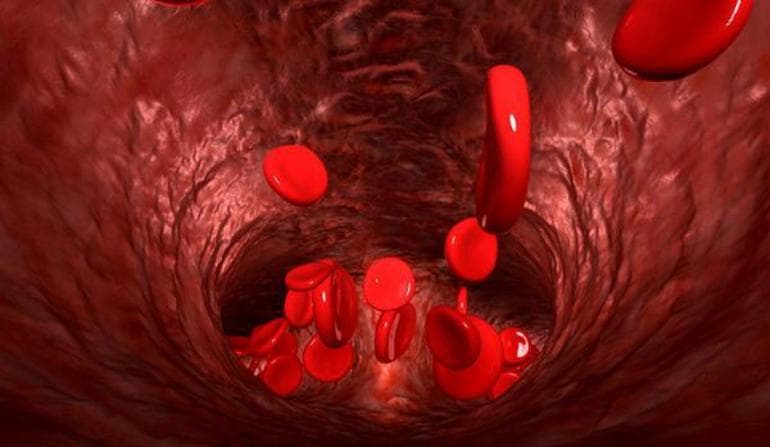 Строение жиров и их роль в организме человека
