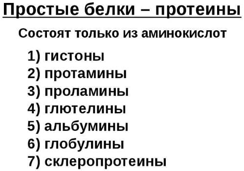 Структура белка &mdash; основные виды с описанием и примерами, функции