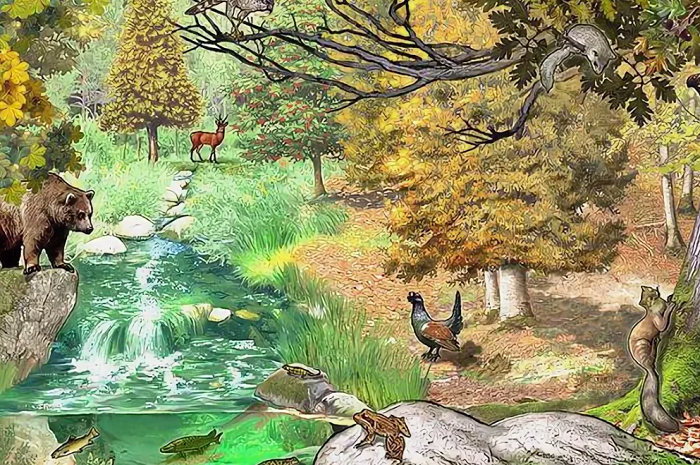 Структура биоценоза в биологии &mdash; определение, виды и примеры