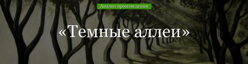 &laquo;Темные аллеи&raquo; анализ произведения Бунина &ndash; жанр, смысл, тема, проблемы рассказа