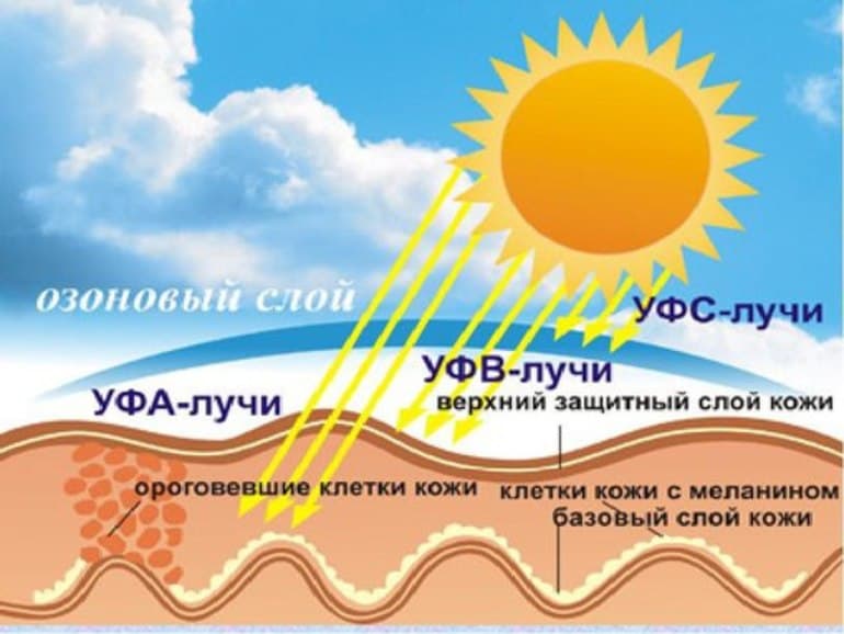 Теория Опарина-Холдейна &mdash; основные положения, этапы и доказательства