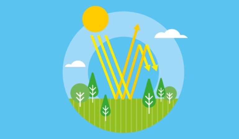 Теория Опарина-Холдейна &mdash; основные положения, этапы и доказательства