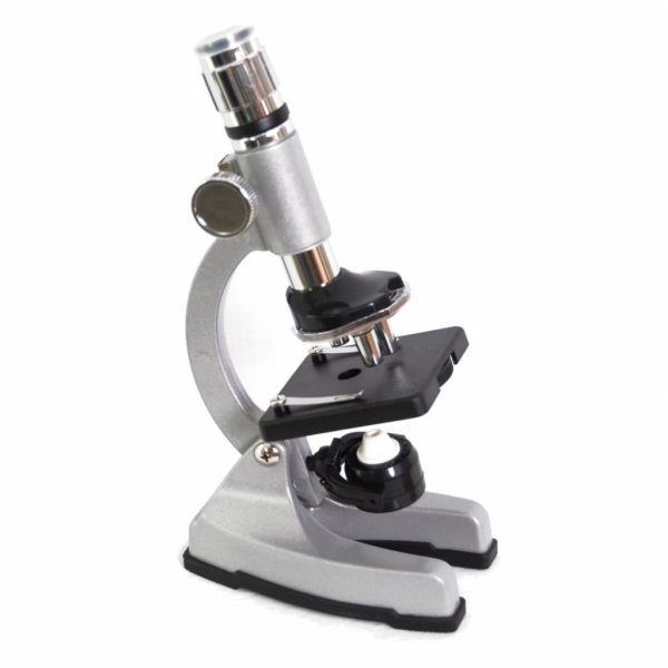 Термины по биологии для 6 класса — список основных понятий и определений