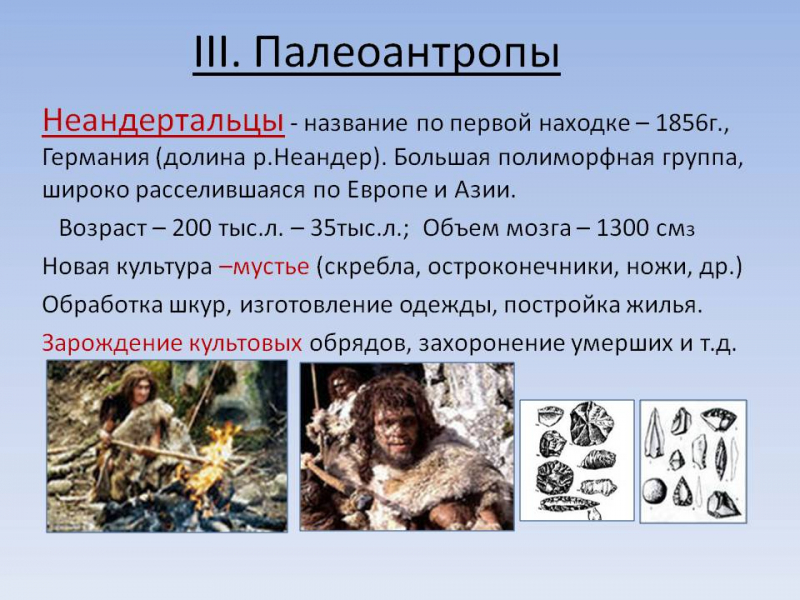 Термины по биологии для 9 класса &mdash; список основных биологических определений и понятий