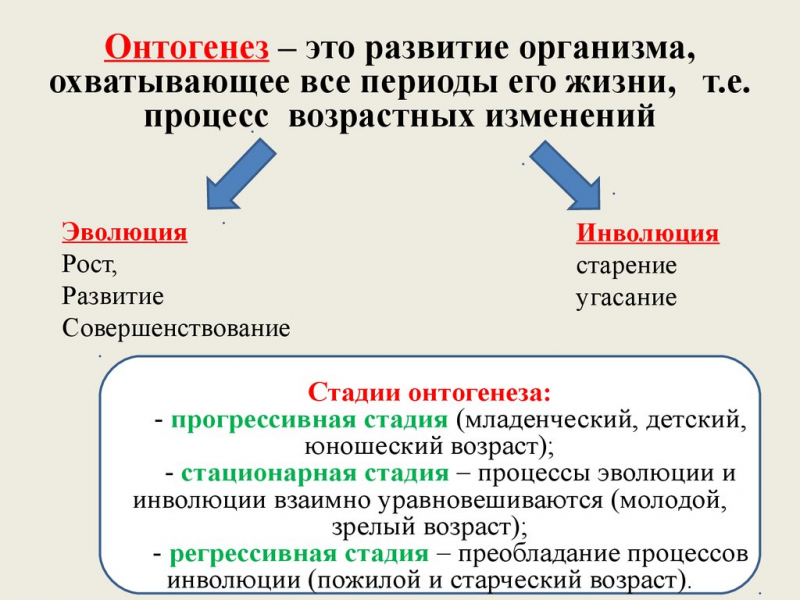 Термины по биологии для 9 класса &mdash; список основных биологических определений и понятий