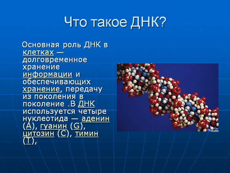 Термины по биологии для 9 класса &mdash; список основных биологических определений и понятий