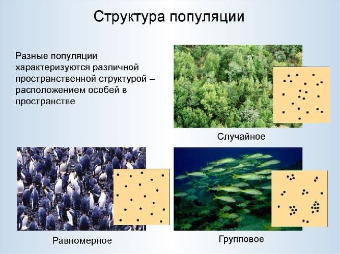 Типы распределения популяций – основные