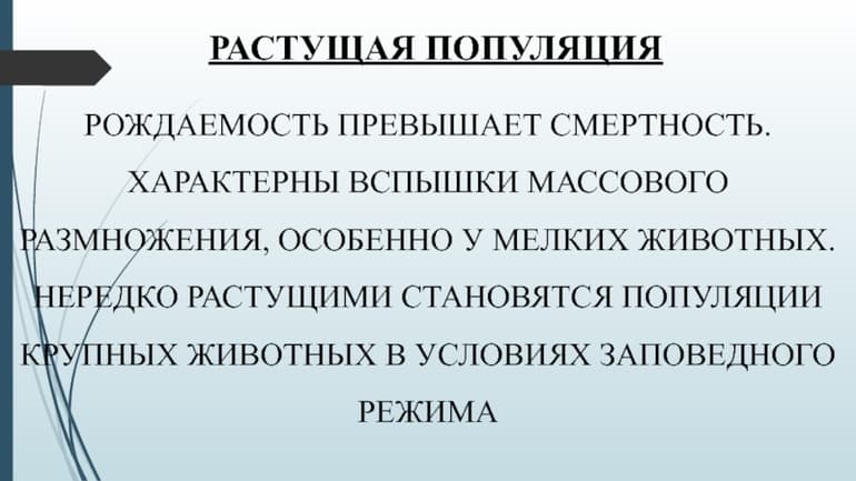 Типы распределения популяций — признаки, структура и примеры