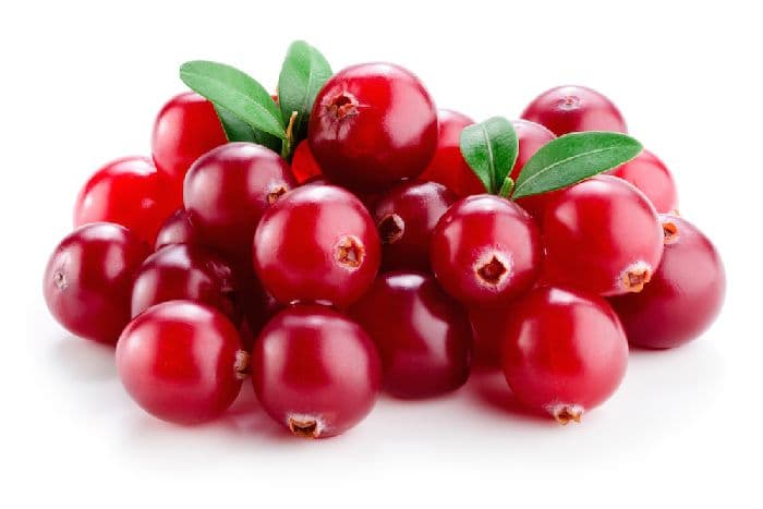 Видоизменение листьев растения как боковых органов побега в таблице (биология, 6 класс)