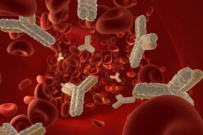 Виды иммунитета в таблице