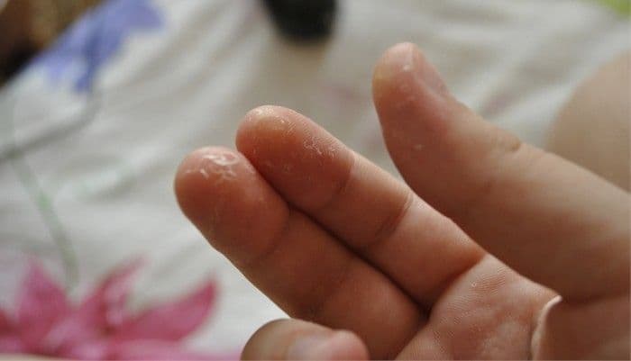 Витамины (таблица по биологии, 8 класс)