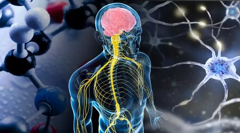 Вклад И.М. Сеченова в биологию &mdash; основные достижения и труды