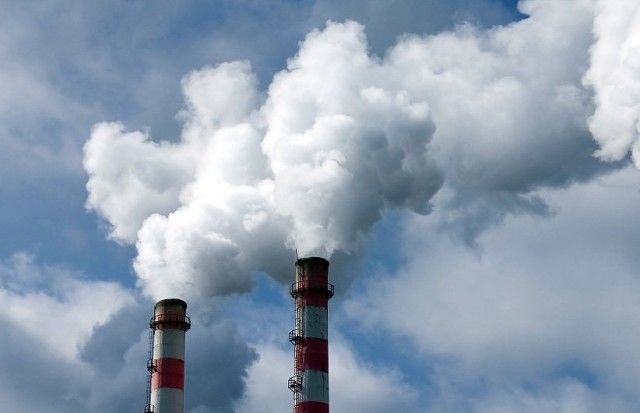 Влияние человека на окружающую среду – отрицательное и положительно воздействие деятельности человека кратко для доклада