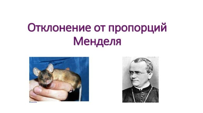 Взаимодействие аллельных генов в организме &mdash; формы и способы, биологическое значение