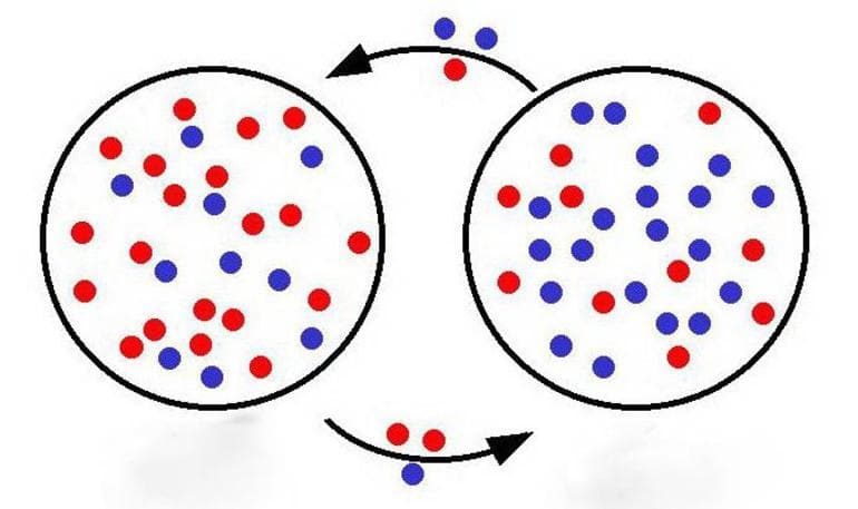 Закон Харди-Вайнберга &mdash; суть, формулировка, практичческое применение