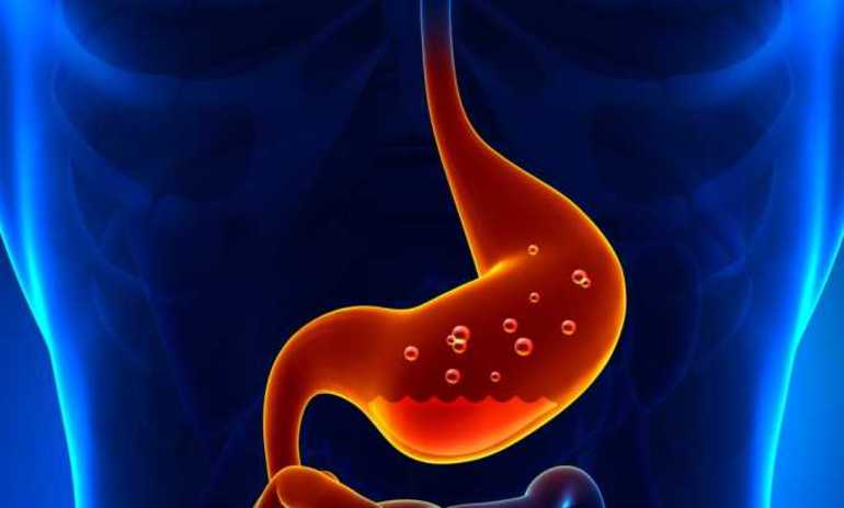 Желудочный сок &mdash; состав, ферменты и основные функции в пищеварении