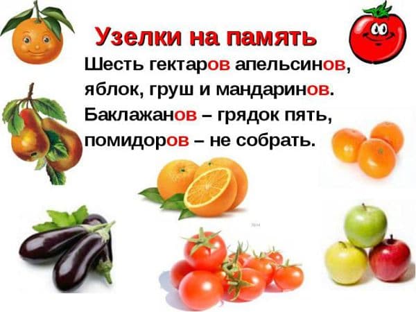 5 килограмм апельсин или 5 килограммов апельсинов?